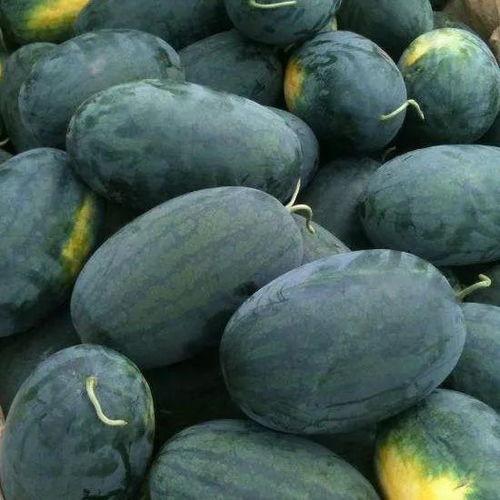 蓝媚儿吃瓜黑料怎么样