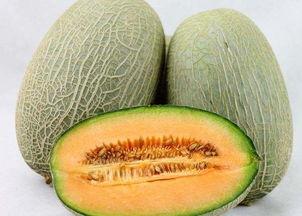 越吃越多的黑料瓜,揭秘越吃越多的神秘魅力